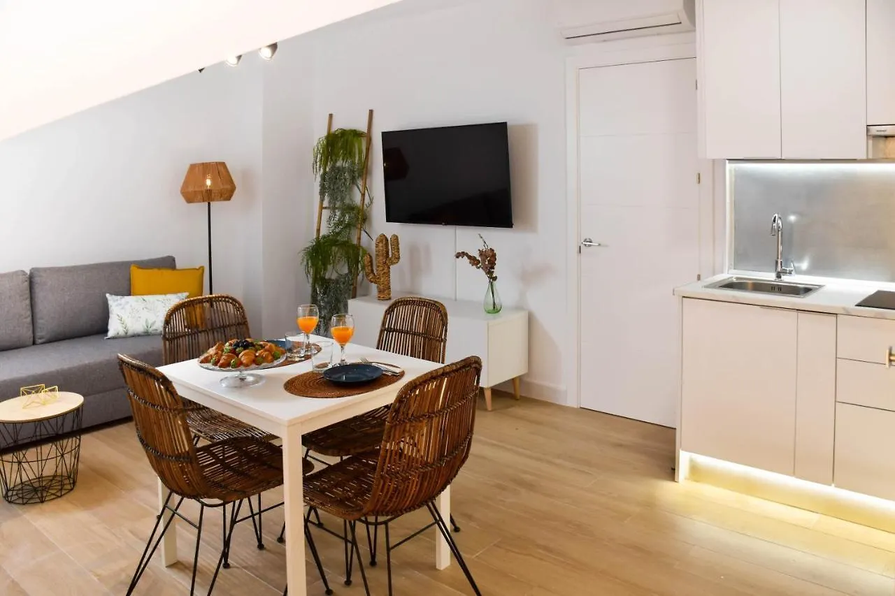 Apartment Holidays2Malaga Trinidad Renovated 1 Bedroom Penthouse Close To City Center